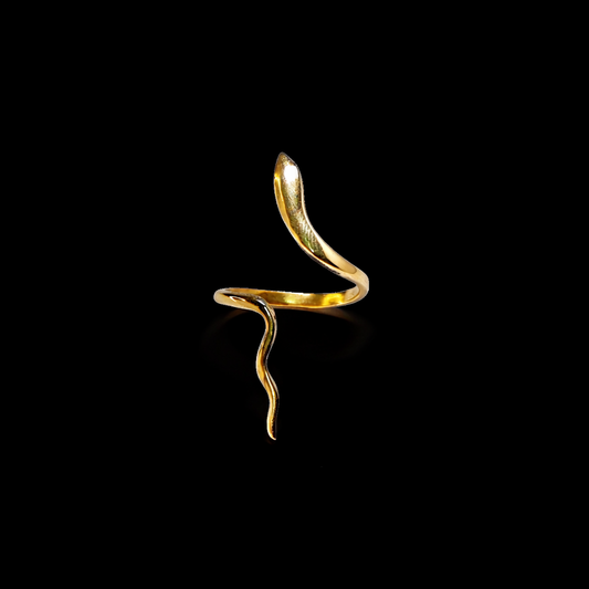 Abstract Snake Ring