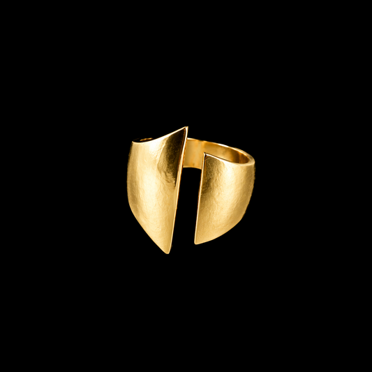 Split Ring