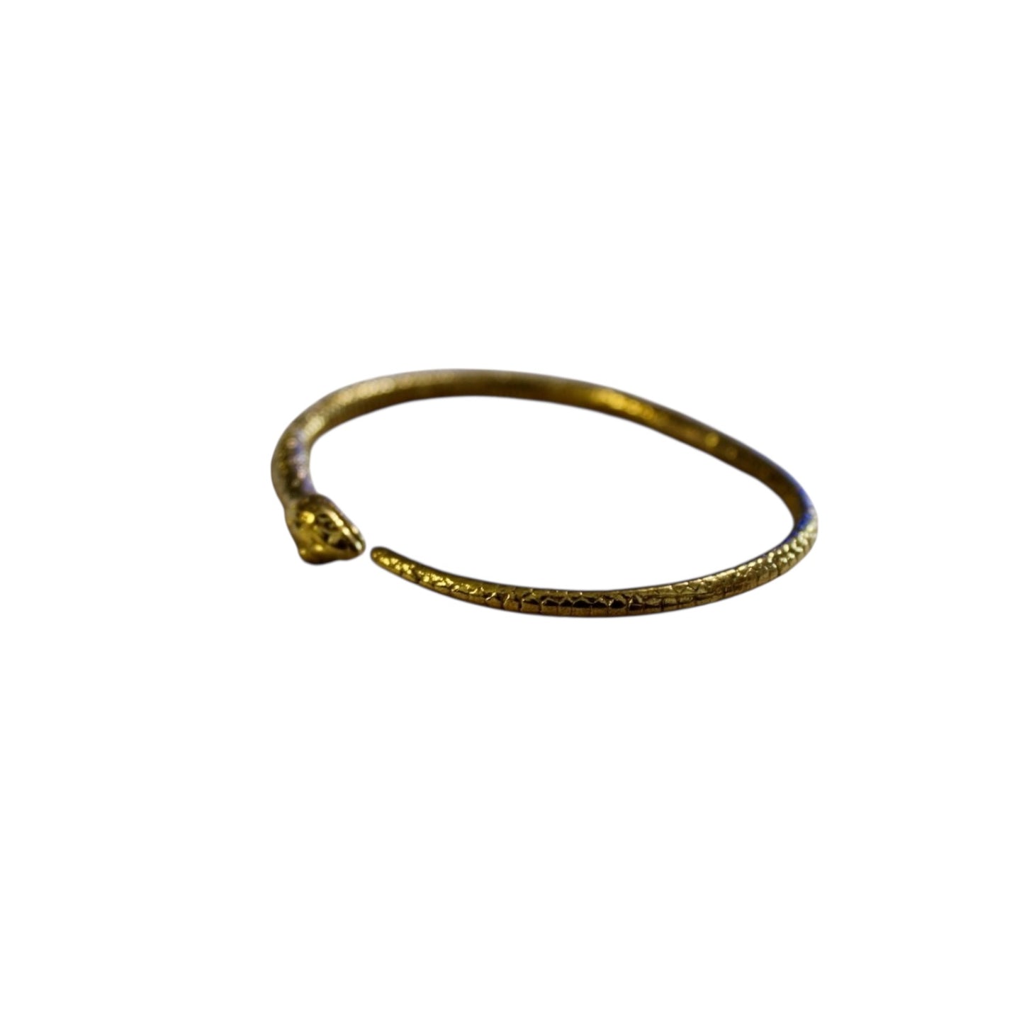 Oroborus bracelet