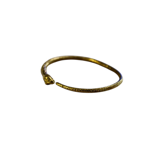 Oroborus bracelet