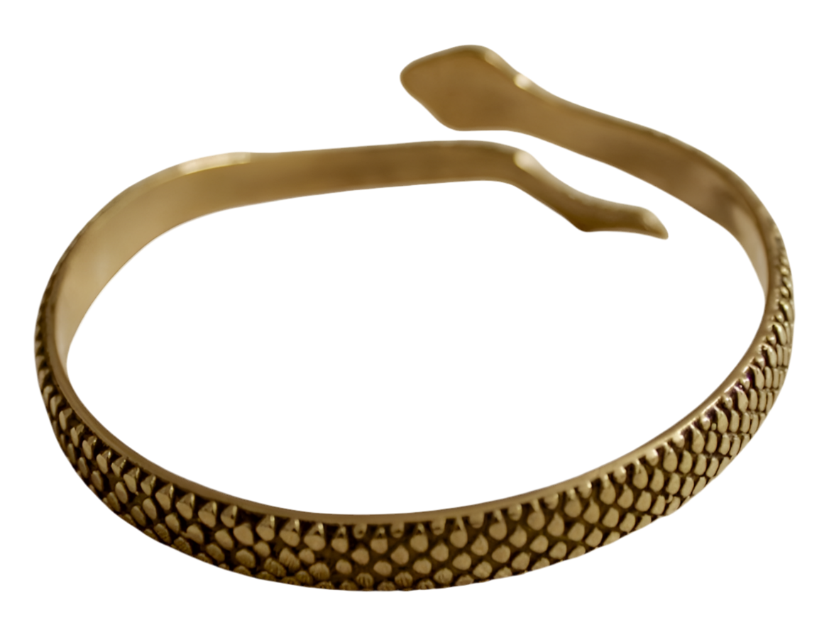 Snake bracelet