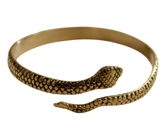 Snake bracelet