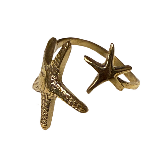Starfish duo