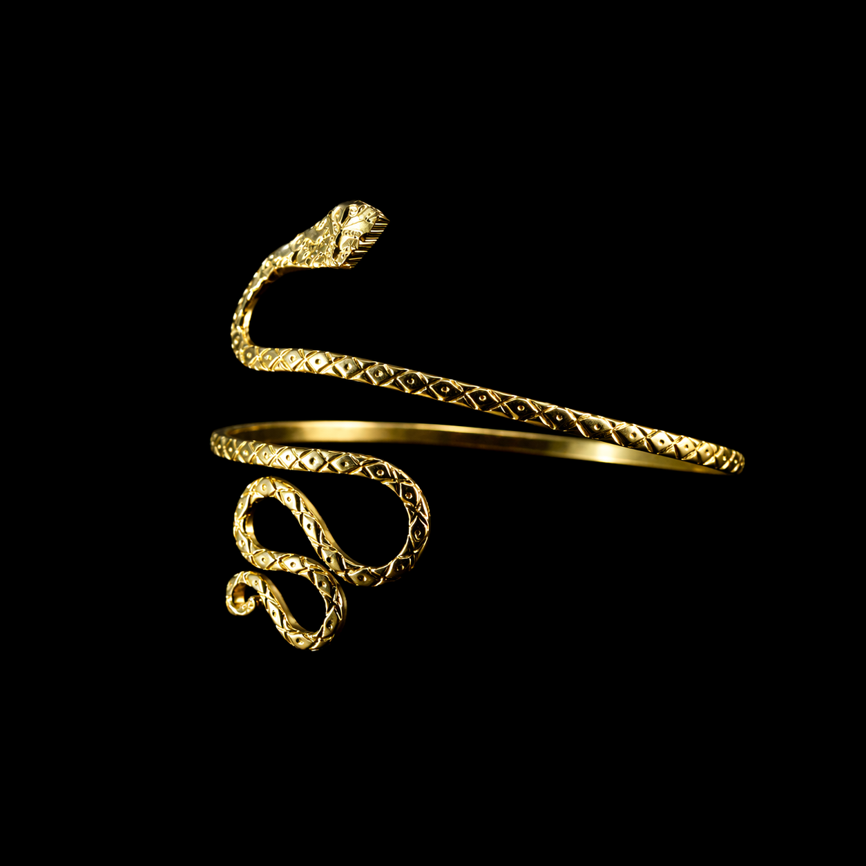 Serpent Arm Cuff