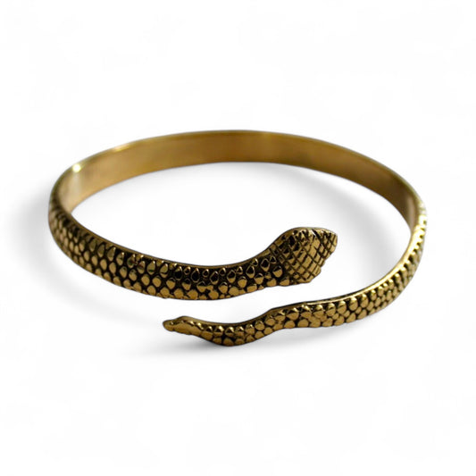 Snake bracelet
