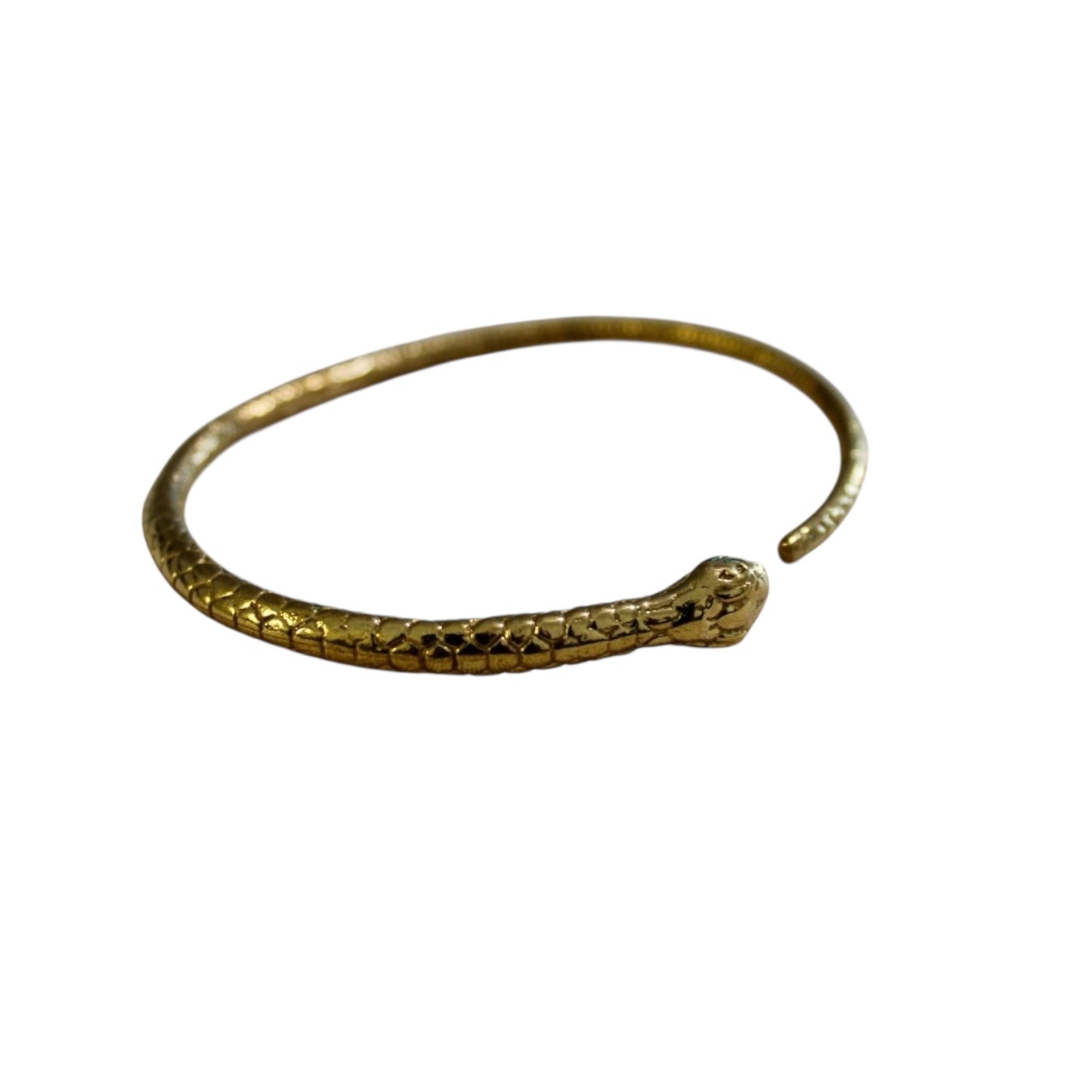 Oroborus bracelet