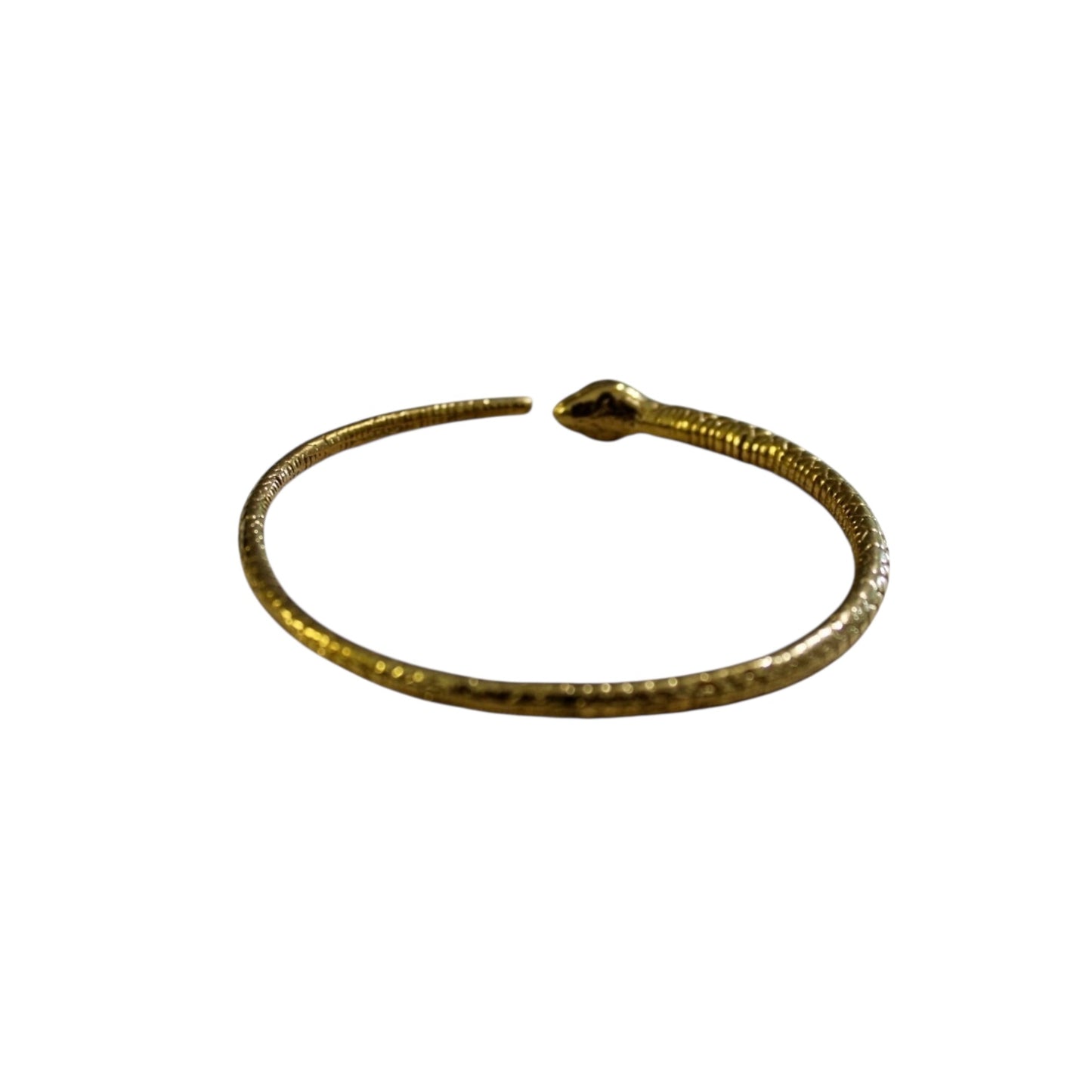 Oroborus bracelet