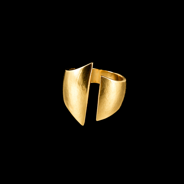Split Ring