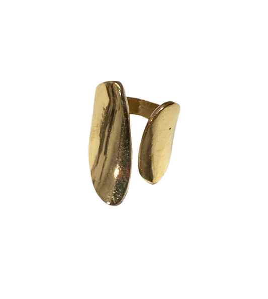 Double oval ring