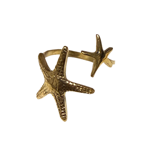 Starfish duo